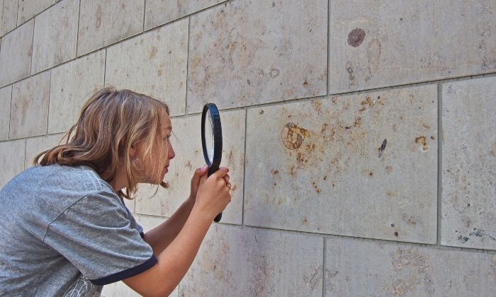 Auch in der Kölner City könnt ihr Fossilien entdecken.